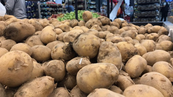 Фотография к новости: Қазақстанда картоп бағасы қандай болады?