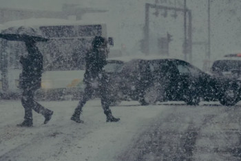 Фотография к новости: Ішкі істер министрлігі жүргізушілерге үндеу жасады