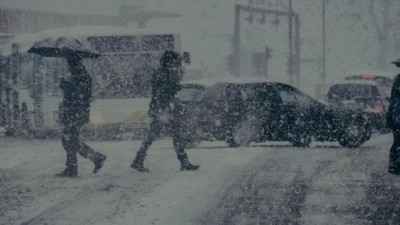 Ішкі істер министрлігі жүргізушілерге үндеу жасады