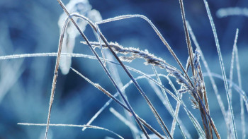 Фотография к новости: Боран, қар, көктайғақ: 12 өңірде дауылды ескерту жарияланды