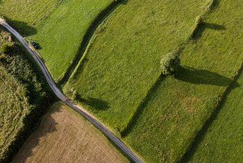 Фотография к новости: Биыл Жетісу облысында 97 мың гектардан астам жер мемлекетке қайтарылды