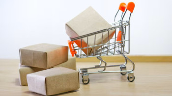 Фотография к новости: Temu мен Apple Қазақстан бюджетіне миллиардтаған қаржы құюда