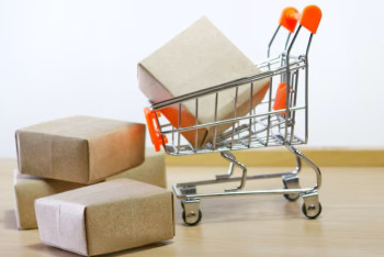 Фотография к новости: Temu мен Apple Қазақстан бюджетіне миллиардтаған қаржы құюда