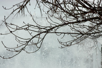 Фотография к новости: Боран және көктайғақ: 14 өңірде дауылды ескерту жарияланды