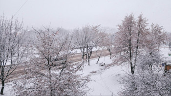 Фотография к новости: "Жауын-шашын, көктайғақ, жаяу бұрқасын". 13 өңірде дауылды ескерту жарияланды