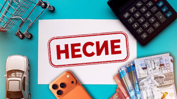 Фотография к новости: Несиенің 45%-ы тұрмыстық тауарларға жұмсалады: Қазақстан экономикасына әсері қандай?