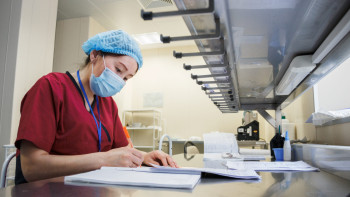 Фотография к новости: Елде "А" тұмауы тіркелді: Мамандар ауру белгілерін атады