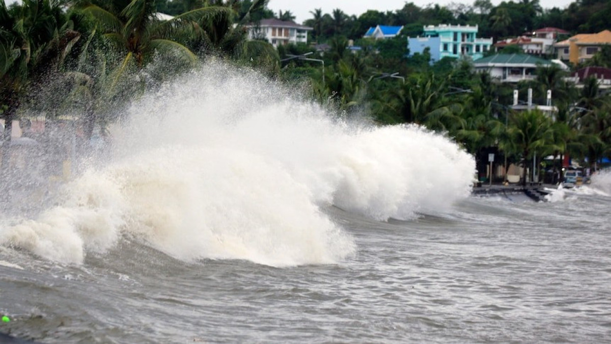  ашық дереккөз / скрин