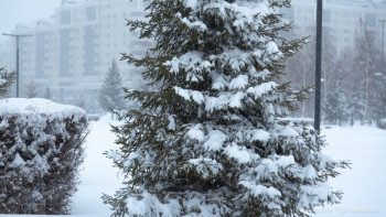 Фотография к новости: Ауа райы болжамы: Бірнеше өңірінде дауылды ескерту жарияланды