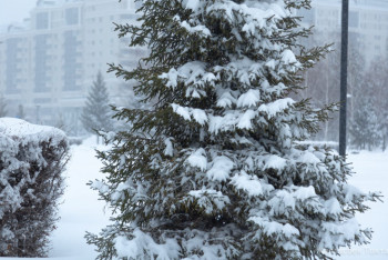 Фотография к новости: Ауа райы болжамы: Бірнеше өңірінде дауылды ескерту жарияланды