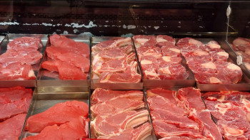 Фотография к новости: Абай облысында 7,7 млрд теңгеге ет комбинаты салынады