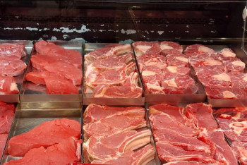 Фотография к новости: Абай облысында 7,7 млрд теңгеге ет комбинаты салынады