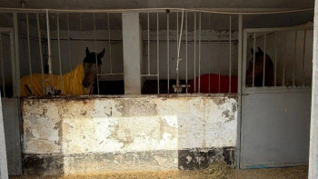 Фотография к новости: Алматыдағы ипподром мемлекет меншігіне өтетін болды