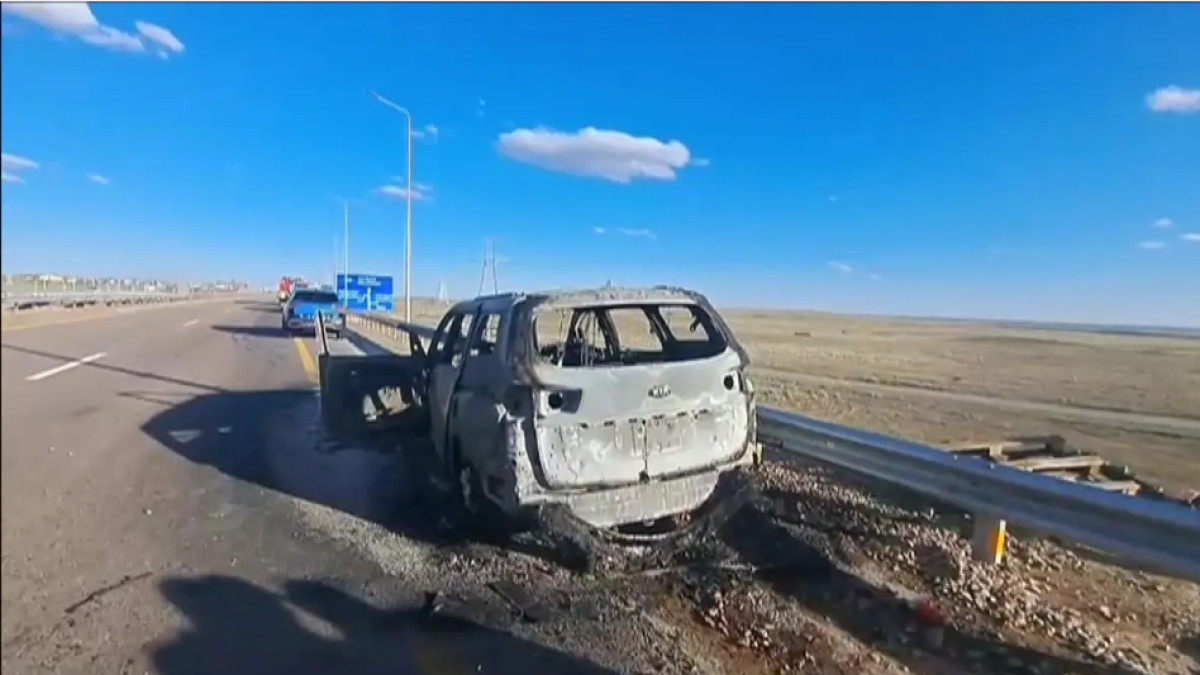  видеодан скрин