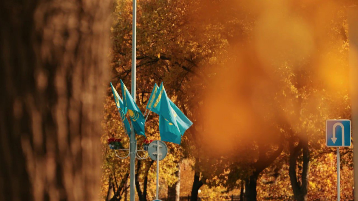  Видеодан кадр