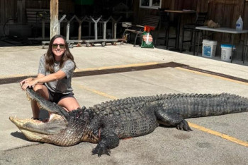 Фотография к новости: АҚШ-та әйел кілемше жасау үшін 3,5 метрлік аллигаторды атты