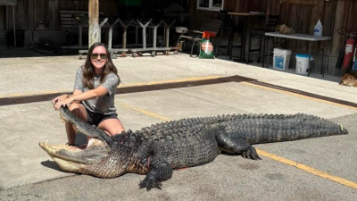 АҚШ-та әйел кілемше жасау үшін 3,5 метрлік аллигаторды атты