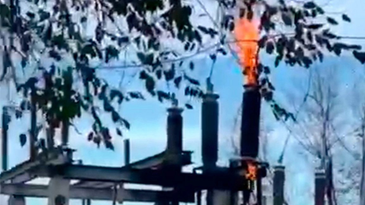  видеодан скриншот