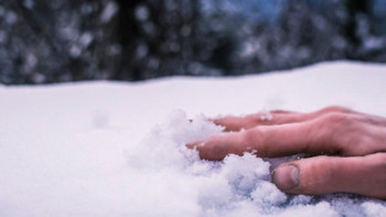 Фотография к новости: Ақмолалық ер адам өз ауласынан өлі күйінде табылды