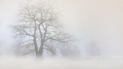 Тұман, көктайғақ: 14 облыста дауылды ескерту жарияланды