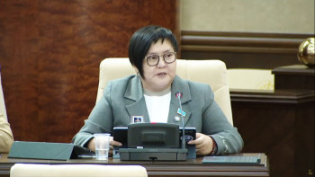 Фотография к новости: Жалақы және жұмыс: Депутат әйелдерге ұнайтын ұсыныс жасады