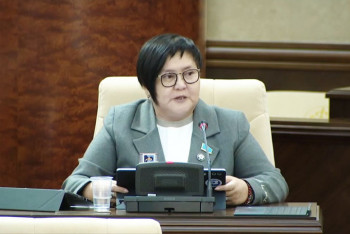 Фотография к новости: Жалақы және жұмыс: Депутат әйелдерге ұнайтын ұсыныс жасады