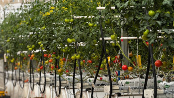 Фотография к новости: Ауыл шаруашылығында терең өңделген өнім шығаруға басымдық беріледі – Үкімет