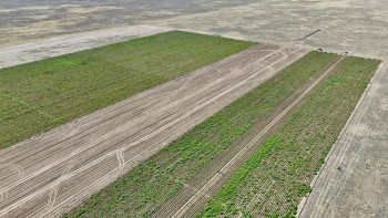 Фотография к новости: Алматы облысында тұрғындар 20 жыл бойы сатып алған жерлерін ала алмай жүр