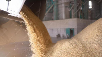 «Бидай басып қалған»: СҚО-да астақ қоймасына құлаған келіншек көз жұмды