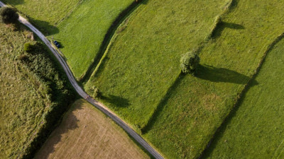 Депутат жерді заңсыз бөлген лауазымды тұлғалардың жауапкершілігін нақтылауды сұрады