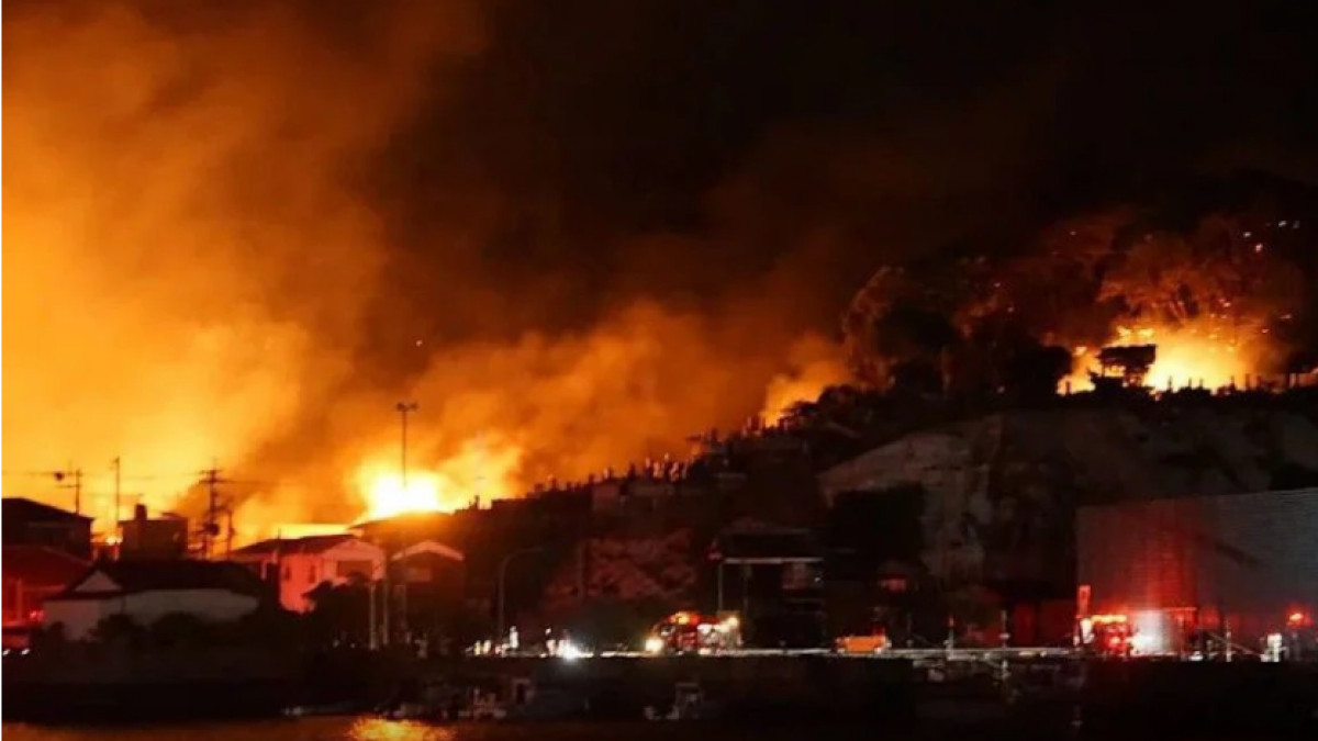  Bild  басылымы