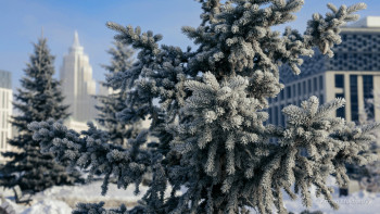 Фотография к новости: Астанада және 14 өңірде дауылды ескерту жарияланды