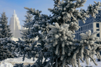 Фотография к новости: Астанада және 14 өңірде дауылды ескерту жарияланды