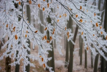 Фотография к новости: Астана мен бірнеше өңірде дауылды ескерту жарияланды