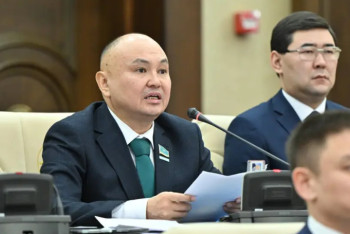 Фотография к новости: Депутаттар: Аудан әкімдерін сайлау үдерісін уақытша тоқтата тұрған жөн