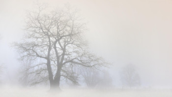 Фотография к новости: Тұман, көктайғақ: 13 облыста дауылды ескерту жарияланды