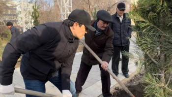 Фотография к новости: "Таза Қазақстан": Ақтөбеде 150 түп ағаш отырғызды