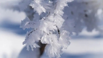 Фотография к новости: Боран, тұман, көктайғақ: Бірнеше өңірде дауылды ескерту жарияланды