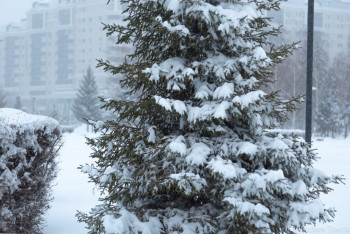 Фотография к новости: Алдағы үш күнде Астана мен Алматыда ауа райы қандай болады?
