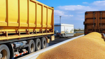 Фотография к новости: Қазақстандық бидайдың 390 мың тоннасы Алжирге жөнелтілді