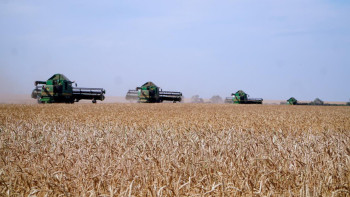 Фотография к новости: Ақмола облысы астық жинау көлемі бойынша елімізде көш бастады