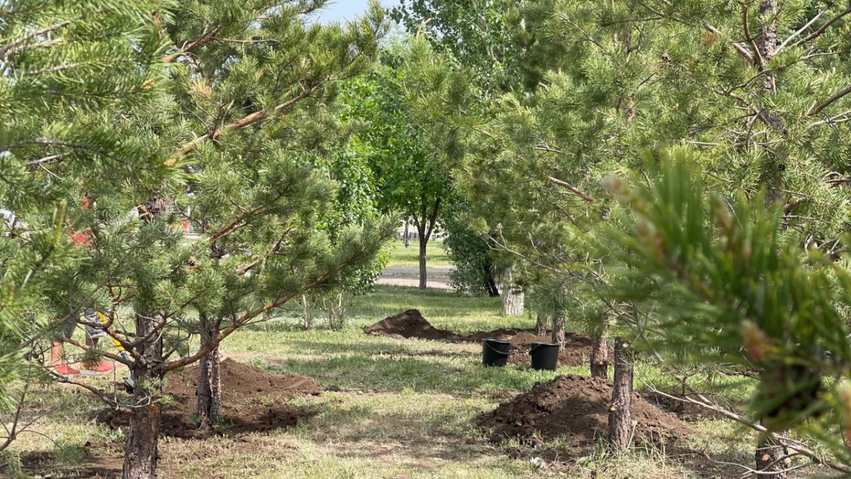  BAQ.KZ  - архив