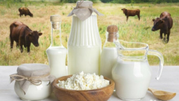 Фотография к новости: Бибігүл Жексенбай мал шаруашылығы өнімдерінің қауіпсіздігіне алаңдайтынын айтты