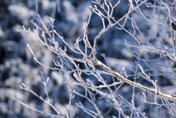 Фотография к новости: Қар, боран және көктайғақ: Астана мен 16 облыста дауылды ескерту жарияланды