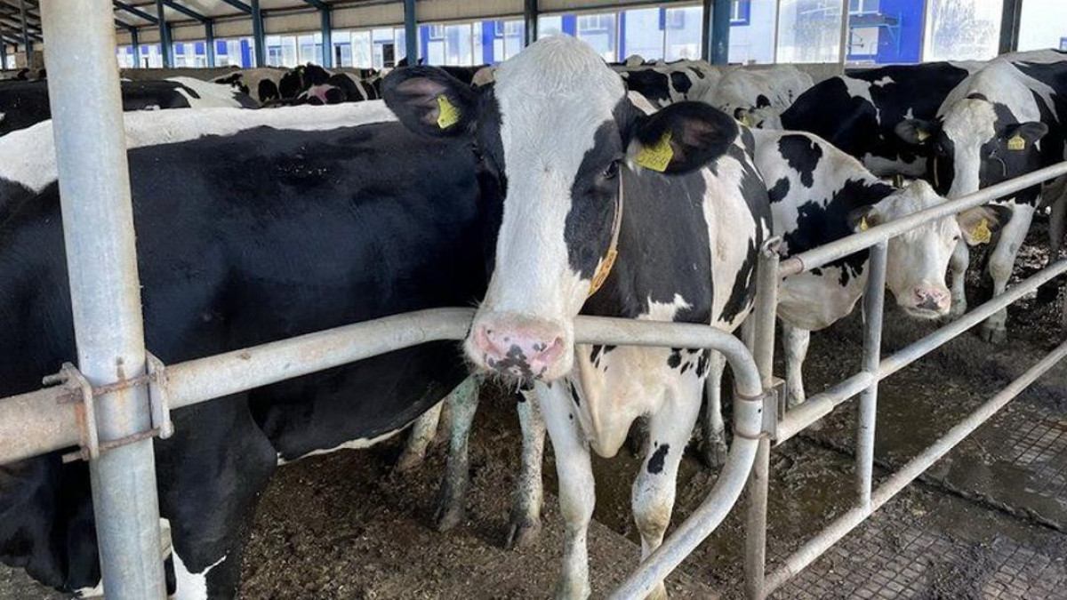  Қостанай облысының әкімдігі