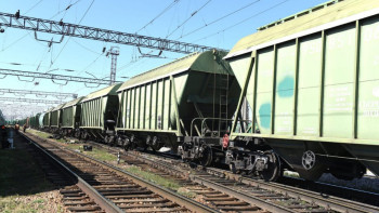 Фотография к новости: Астық экспортындағы жүктеме артты: Қазақстан мен Өзбекстан бірлескен шешім әзірлейді