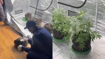 Фотография к новости: Алматыдағы көпқабатты үйден есірткі "зертханасы" табылды