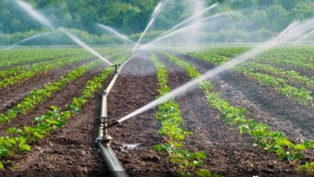 Фотография к новости: 2025 жылы суару маусымы қалай өтті: Нәтиже жарияланды