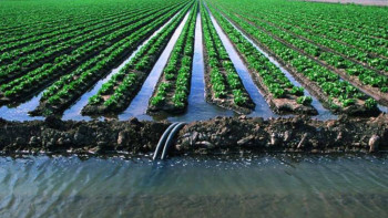 Фотография к новости: Оңтүстіктегі су тапшылығы: Үкімет егістік құрылымын қайта қарайды