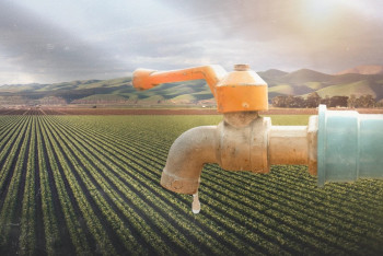 Фотография к новости: "Бір тамшы су бермейміз": Бектенов өңірлерге қатаң талап қойды